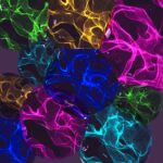 Photo cornflower color